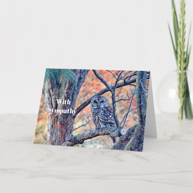 Fotosympati för vildlevande barkat Uggla Träd Kort (Framsida)