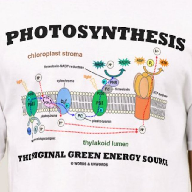 Fotosyntes den ursprungliga Gröntens energikälla T-shirt (Tee featuring light-dependent reactions of photosynthesis)