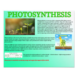 Fotosyntes Fototryck