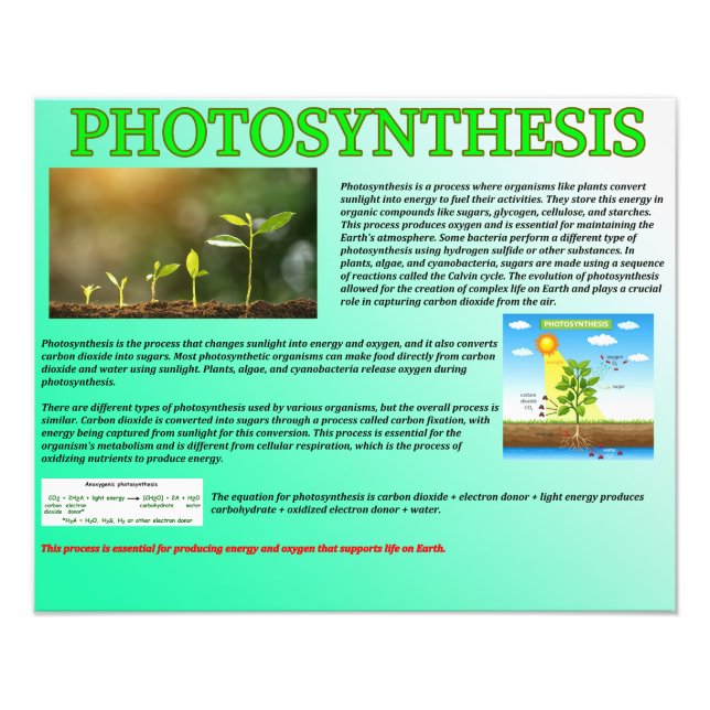 Fotosyntes Fototryck (Framsidan)