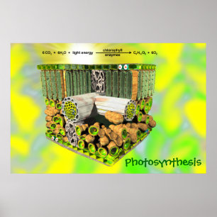 Fotosyntes Poster