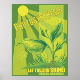 Fotosyntes Poster