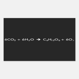 Fotosyntesekvation Rektangulärt Klistermärke