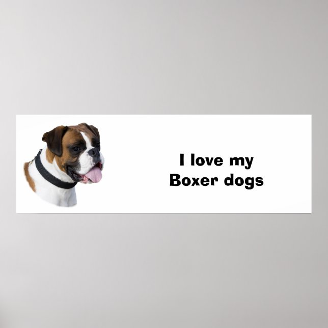 Fotot Boxer hund porträtt Poster (Framsidan)