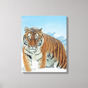 Fotot Canvas från Tiger Winter Snö Mountain Nature