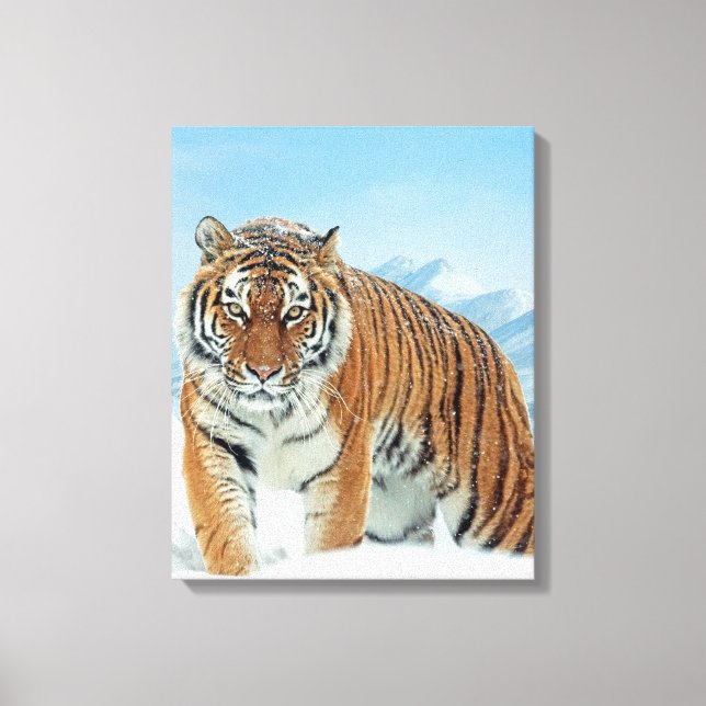 Fotot Canvas från Tiger Winter Snö Mountain Nature (Framsida)