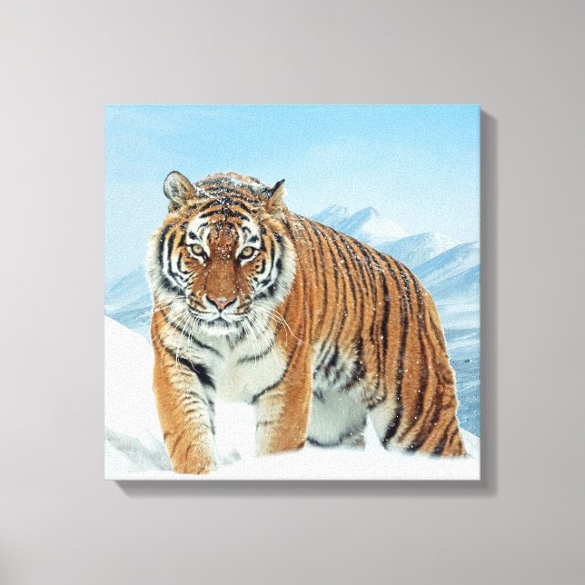 Fotot Canvas från Ttigerbergen Winter Snö (Framsida)