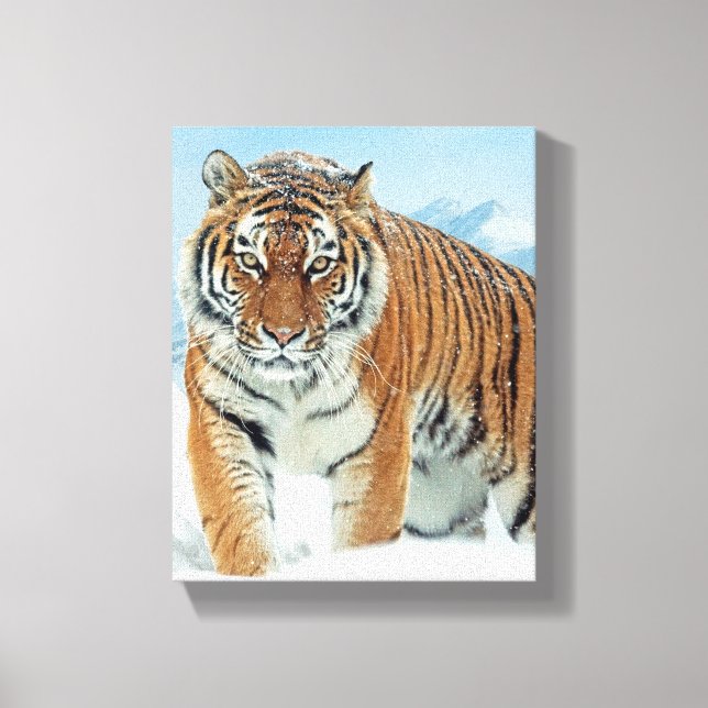 Fotot Canvas från Winter Snö Tiger Mountain Nature (Framsida)