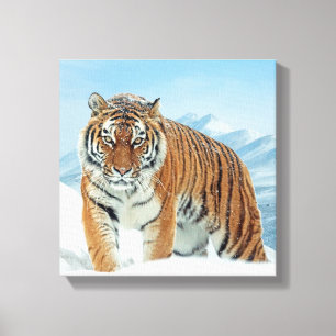 Fotot Canvas från Winter Tiger Snö Mountains Natur