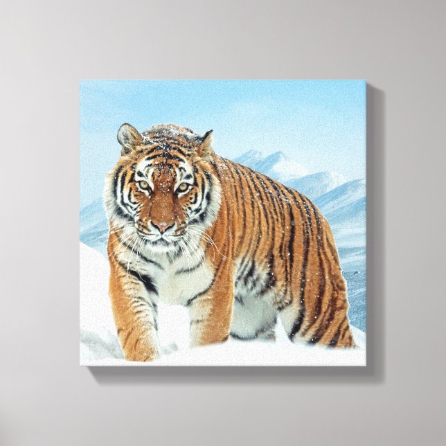 Fotot Canvas från Winter Tiger Snö Mountains Natur (Framsida)