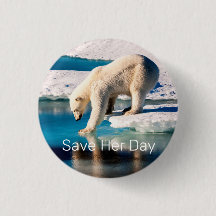Fotot - Polar Bear Blue White Inspiration Nature