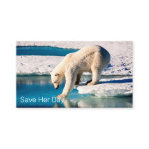 Fotot - Polar Bear Blue White Inspiration Nature