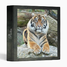 Fototiger, djur 0046.
