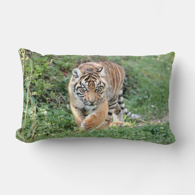Fototigerkatt, djur ... dekorativ kudde (Framsida)