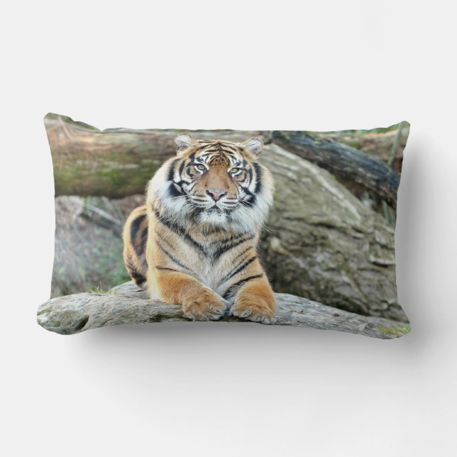 Fototigerkatt, djur ... dekorativ kudde (Framsida)