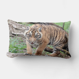 Fototigerkatt, djur ... dekorativ kudde