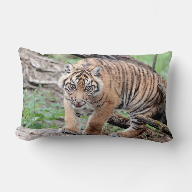 Fototigerkatt, djur ... dekorativ kudde (Framsida)