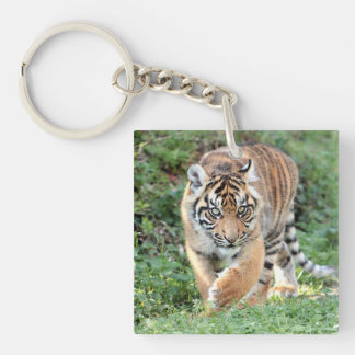 Fototigerkatt för akryl-nyckelkedja.