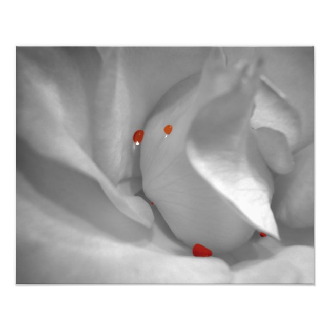 Fotoutskrift av aeoliska vattenfärger fototryck (Framsidan)