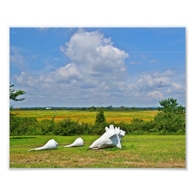 Fotoutskrift av Sea Snäcka Sculpture Fototryck (Framsidan)