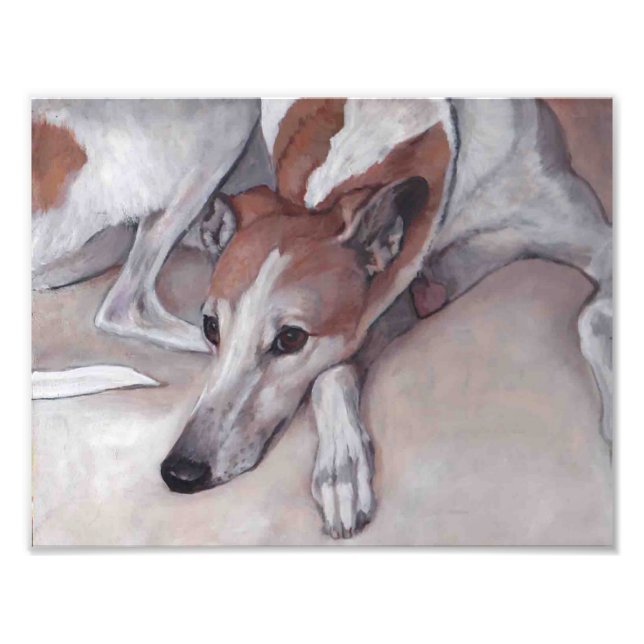 Fotoutskrift av Tan- och White Greyhound Hund Art Fototryck (Framsidan)