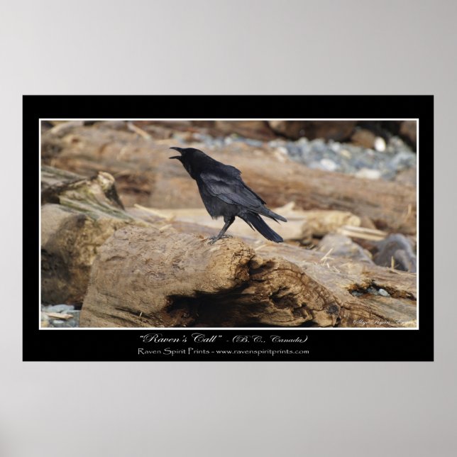 Fotoutskrift för "RAVEN'S CALL" Poster (Framsidan)