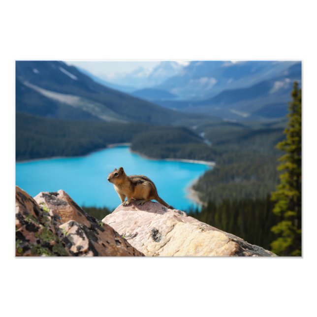 Fotoutskrift Fototryck (Framsidan)