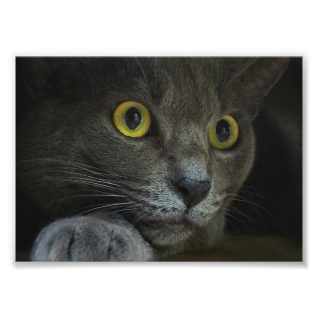 Fotoutskrift med intensitet fototryck (Framsidan)