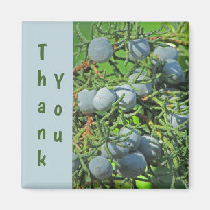 Fotoutvärdering av Tack Gräs Berries i Vår Magnet