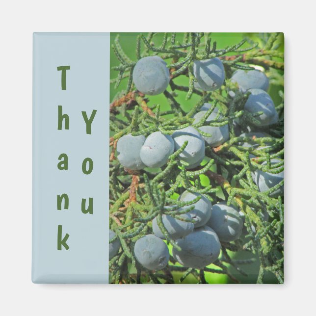 Fotoutvärdering av Tack Gräs Berries i Vår Magnet (Framsidan)