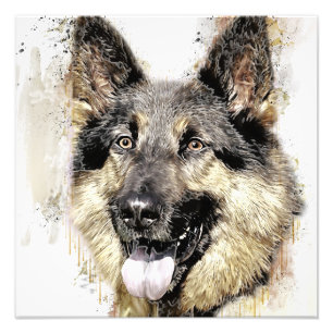 Fotoutvidgning av den tyska Hund Fototryck