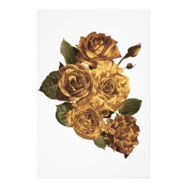 Fotoutvidgning, förstoring av ett foto. fototryck