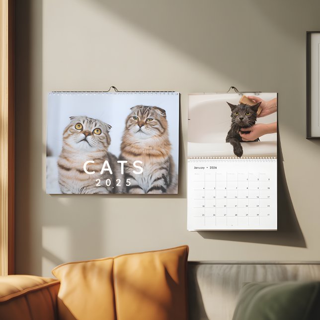 Fotovägg för Anpassadet Cute Cats Kalender (Skapare uppladdad)