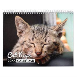 Fotoväggskalender för kattlock kalender