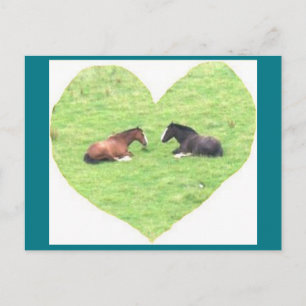 Fotovykort 5 Horse Kärlek - Naturlig skönhet Vykort