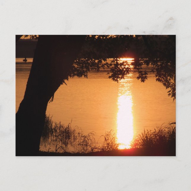 Fotovykort - Anpassat Vykort (Framsida)