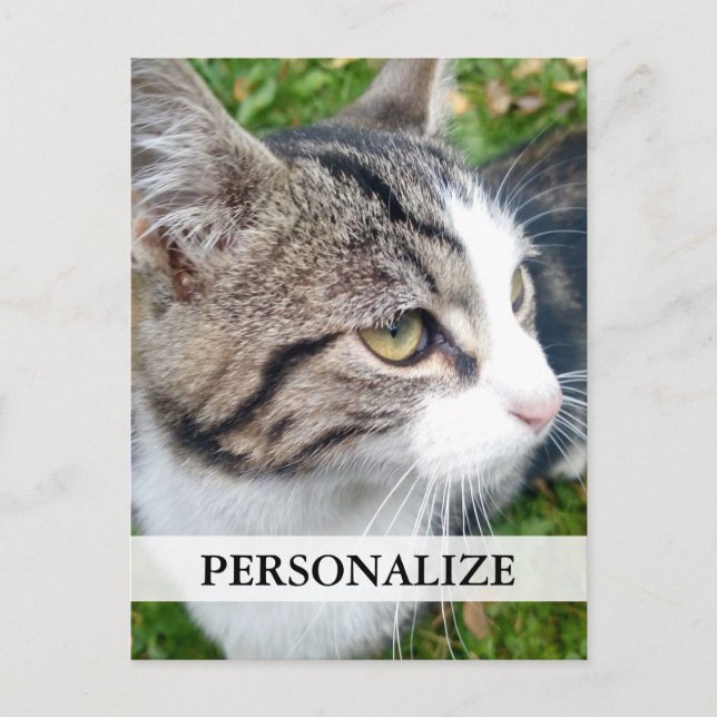 Fotovykort för anpassningsbar | Lägg till bilden h Vykort (Framsida)