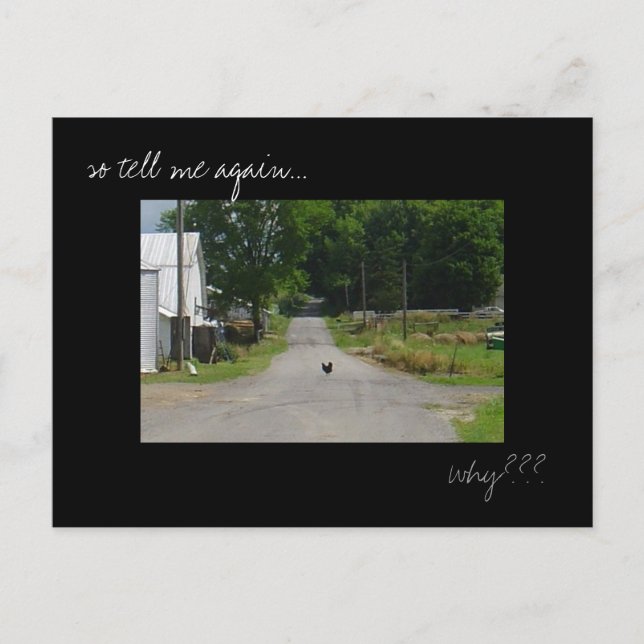 Fotovykort för "Chicken Crossing Road" Vykort (Framsida)