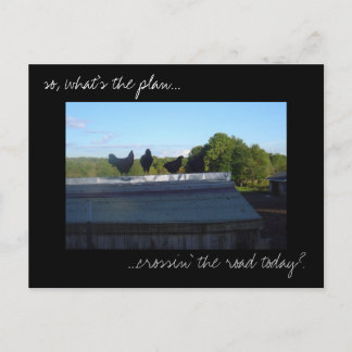 Fotovykort för "Chicken Plans" Vykort