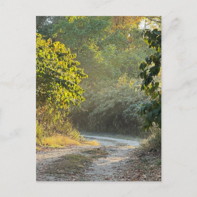 Fotovykort för höstspår vykort (Framsida)