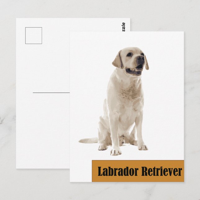 Fotovykort för Labrador Retriever Hund Vykort (Fram/baksida)