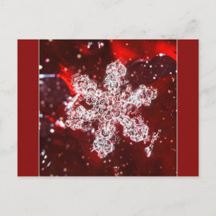 Fotovykort för snöflingor vykort