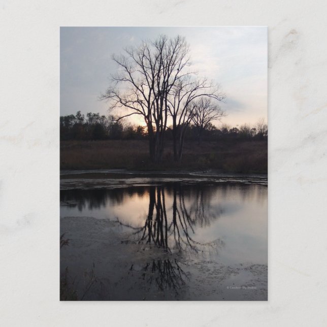 Fotovykort för solreflexer vykort (Framsida)