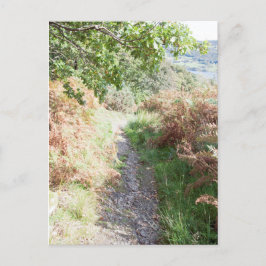 Fotpath Coniston England Card Vykort