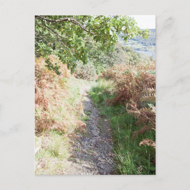 Fotpath Coniston England Card Vykort (Framsida)