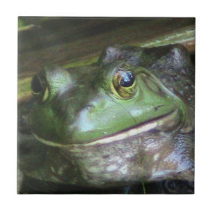 Fotplatta för bullfrog kakelplatta
