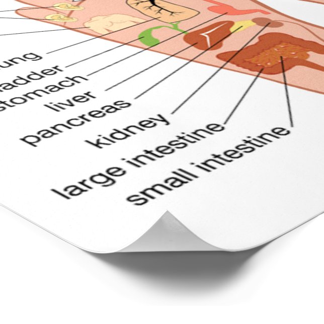 fotreflexologi 12 x 10 tum poster (Hörn)