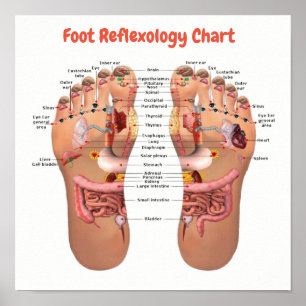 fotreflexologi 12 x 12 tum poster