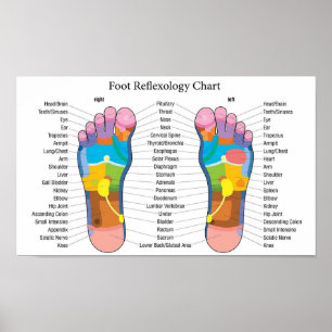 Fotreflexologi 15x9" poster