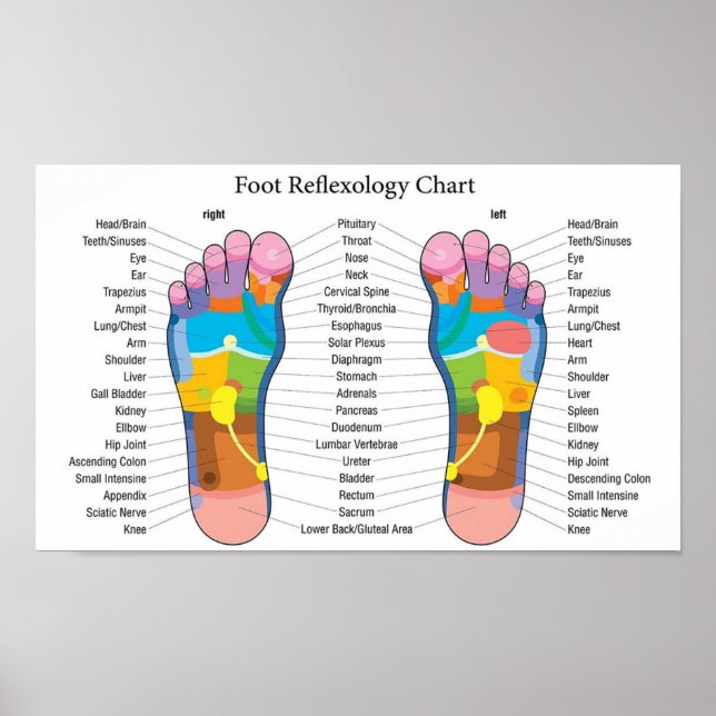 Fotreflexologi 15x9" poster (Framsidan)